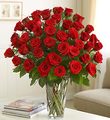 Four Dozen Long Stem Rose Bouquet