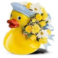 Ducky Delight Bouquet in Blue