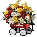 Baby Boy First Wagon