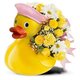 Ducky Delight Bouquet in Pink