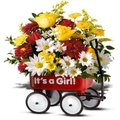 Baby Girl First Wagon